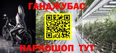 шишки Северобайкальск