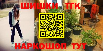 шишки Северобайкальск