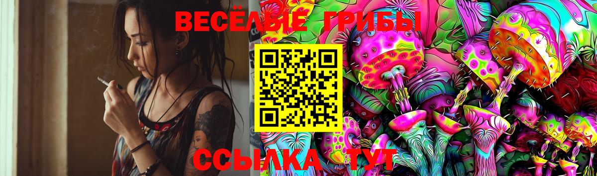 Псилоцибиновые грибы Magic Shrooms Октябрьский