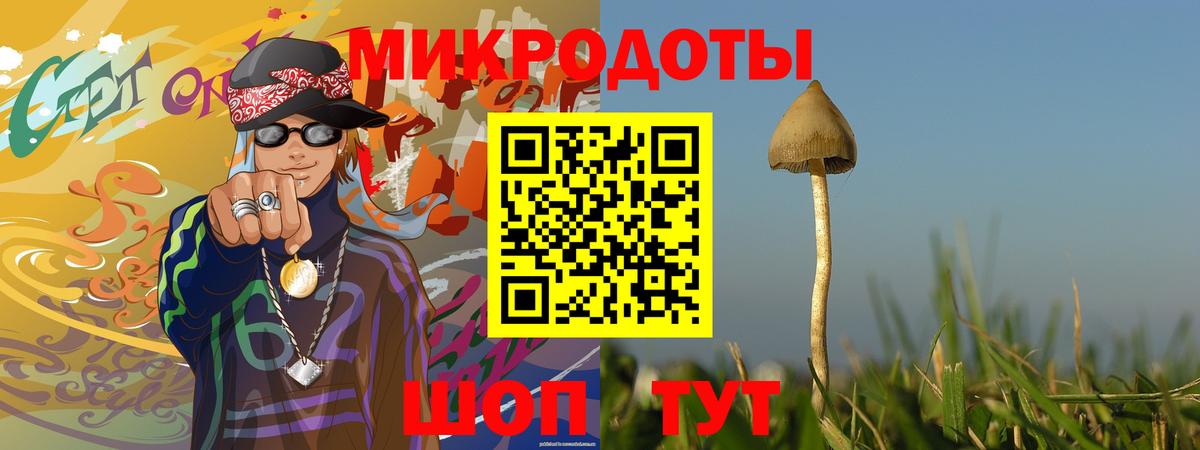 А ПВП Октябрьский